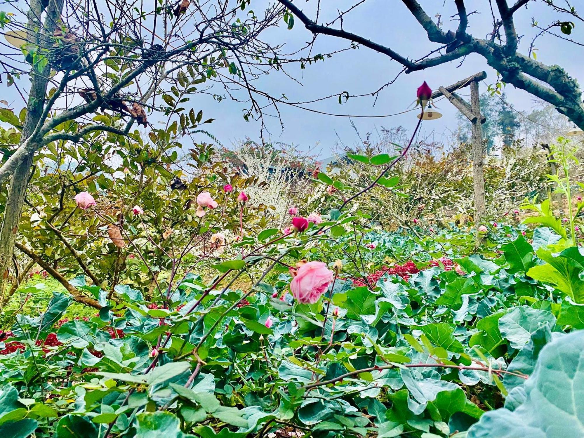 So H'Mong Homestay Бакха Экстерьер фото